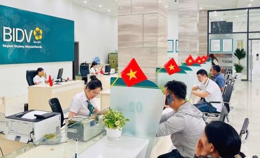 Ông Lê Ngọc Lâm đại diện 25% vốn Nhà nước tại BIDV