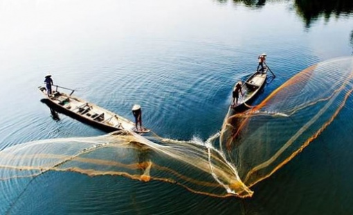 Khối nội tung hàng trăm nghìn tỷ vào chứng khoán Việt Nam, cân lại lực bán ròng từ khối ngoại