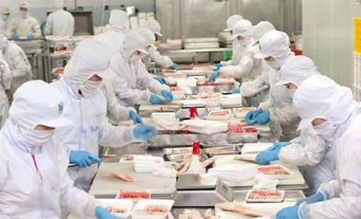 Một cổ phiếu thủy sản được khuyến nghị MUA với kỳ vọng tăng 41%