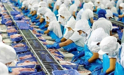 Vĩnh Hoàn trước triển vọng thuận lợi của ngành cá tra, cổ phiếu VHC được kỳ vọng tăng 30%