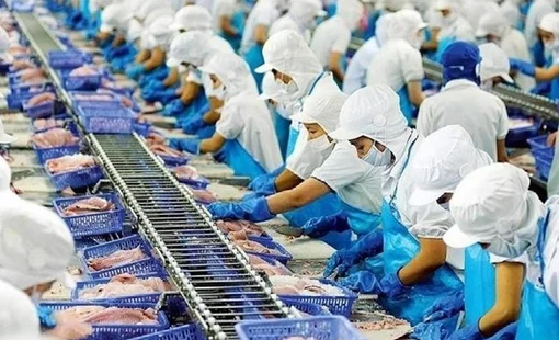 Vĩnh Hoàn trước triển vọng thuận lợi của ngành cá tra, cổ phiếu VHC được kỳ vọng tăng 30%