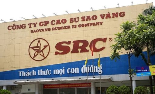 Lãi quý 1 tăng 250%, một doanh nghiệp sắp chốt quyền nhận "combo" cổ tức tiền mặt và cổ phiếu thưởng tỷ lệ 30%