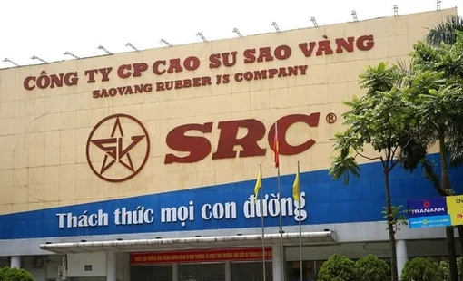 Lãi quý 1 tăng 250%, một doanh nghiệp sắp chốt quyền nhận "combo" cổ tức tiền mặt và cổ phiếu thưởng tỷ lệ 30%