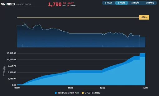 Giảm gần 50 điểm, VN-Index xuống dưới mốc 1.800 điểm