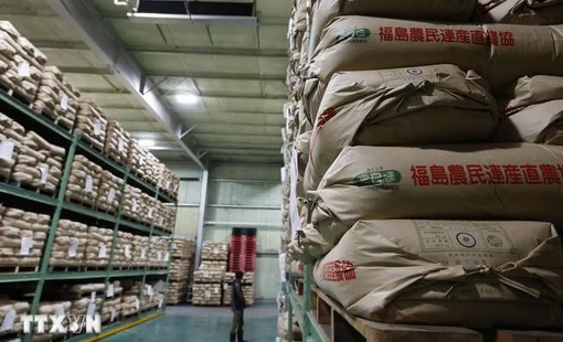 Giá gạo tại Nhật Bản giảm xuống mức thấp nhất kể từ cuối năm 2024