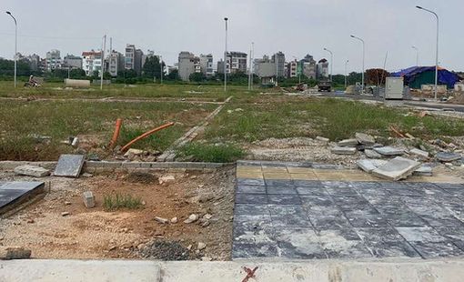 Đất đấu giá hạ nhiệt, thị trường dần đi vào thực chất