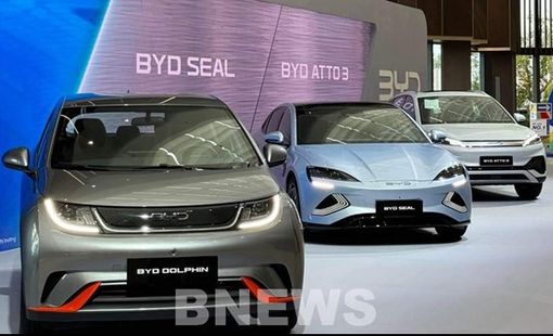BYD vươn lên vị trí thứ tư trong các thương hiệu ô tô nhập khẩu ở Hàn Quốc
