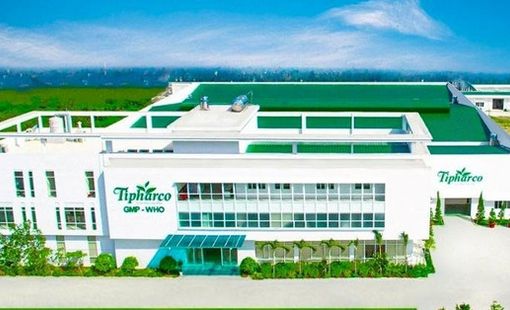 Công ty bán thuốc kháng sinh báo lãi gấp 24 lần trong quý 2/2026