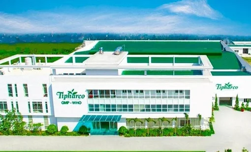 Công ty bán thuốc kháng sinh báo lãi gấp 24 lần trong quý 2/2026