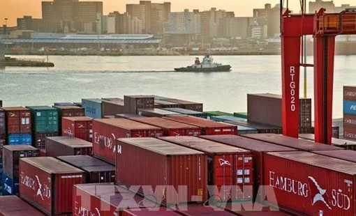 Mỹ có thể siết thuế, thị trường xuất khẩu 43 tỷ USD của châu Phi đối mặt bất định
