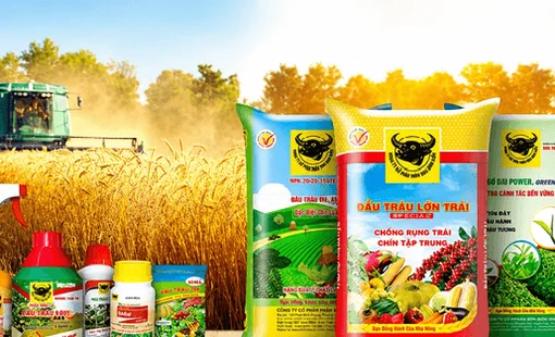 Phân bón Bình Điền (BFC) báo lãi giảm sốc trong quý II