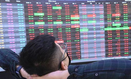 Loạt cổ phiếu cơ bản FPT, MWG, SSI đều giảm 2 chữ số từ đầu năm, chuyên gia lý giải nguyên nhân