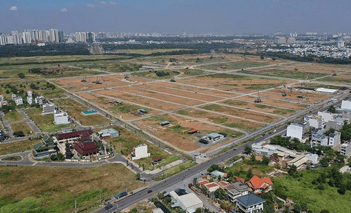 Từ ngày 31/8, tự ý chuyển đất trồng lúa sang đất ở có thể bị phạt tới 400 triệu đồng