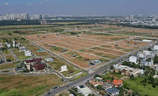 Từ ngày 31/8, tự ý chuyển đất trồng lúa sang đất ở có thể bị phạt tới 400 triệu đồng