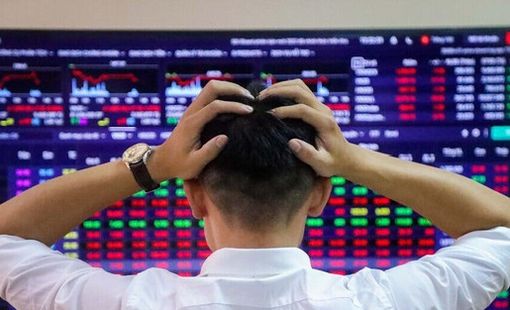 Dragon Capital chỉ ra nghịch lý trên thị trường chứng khoán, gọi tên hai cổ phiếu đang bị định giá thấp hơn giá trị