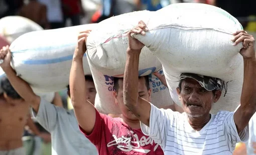 Philippines nhập khẩu gạo cao kỷ lục trong 6 tháng đầu năm