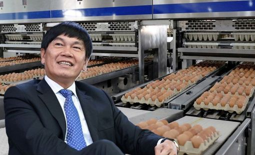 Màn IPO “đau thương” của tỷ phú Trần Đình Long: Cổ phiếu HPA giảm 28% sau 6 tháng lên sàn, liên tục dò đáy mới