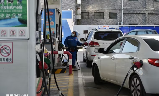 IEA tiếp tục hạ dự báo nhu cầu dầu mỏ năm 2026