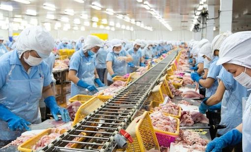 Con trai 'vua cá rô phi' lần thứ 3 mua thêm 1 triệu cổ phiếu ANV khi thị giá giảm gần 40% từ đầu năm