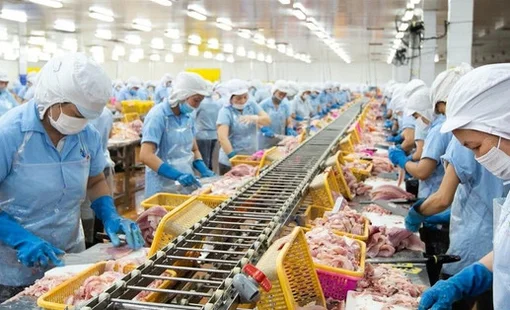 Con trai 'vua cá rô phi' lần thứ 3 mua thêm 1 triệu cổ phiếu ANV khi thị giá giảm gần 40% từ đầu năm