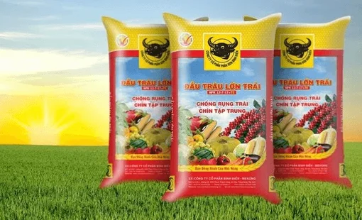Lợi nhuận “lao dốc”, thù lao nhiều lãnh đạo Phân bón Bình Điền (BFC)  tăng hơn gấp đôi