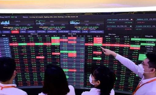 Chuyên gia Mirae Asset gọi tên loạt cổ phiếu đáng chú ý giữa lúc thị trường rung lắc