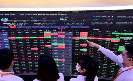 Chuyên gia Mirae Asset gọi tên loạt cổ phiếu đáng chú ý giữa lúc thị trường rung lắc