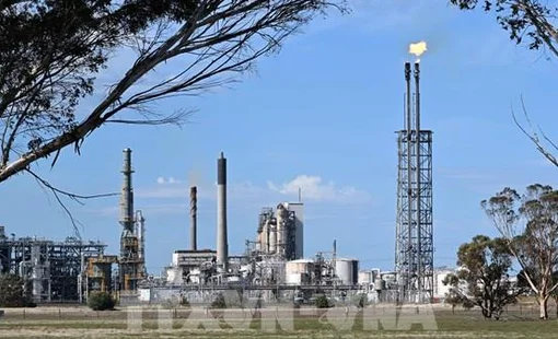 Giá dầu châu Á tăng phiên thứ tư liên tiếp