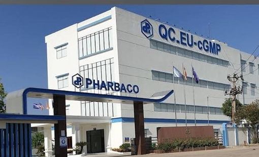 CEO Pharbaco Nguyễn Đình Tuấn bị phạt hơn nửa tỷ đồng vì “mua chui” gần 3,5 triệu cổ phiếu PBC