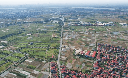 Thị trường đất nền "hạ nhiệt" sau giai đoạn tăng giá kéo dài, giá giảm