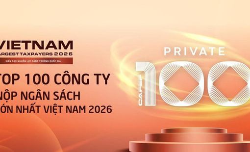 100 doanh nghiệp tư nhân nộp ngân sách lớn nhất Việt Nam: Tổng nộp 390.700 tỷ đồng, đóng góp gần 15% ngân sách quốc gia