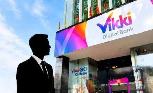 Kazon Investment thoái vốn, ai đang sở hữu VikkiBankS?
