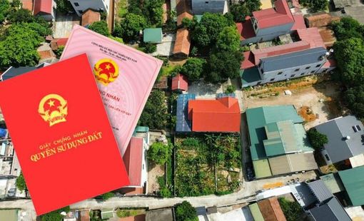 Chính thức từ hôm nay (31/8), loạt quy đinh mới về xử phạt liên quan đến đất đai chính thức có hiệu lực
