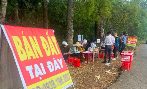 260.000 ‘cò đất’, môi giới tự do đang hành nghề trái luật?