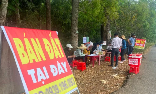 260.000 ‘cò đất’, môi giới tự do đang hành nghề trái luật?