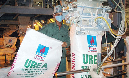 Đạm Phú Mỹ (DPM) bất ngờ "rót" hơn 130 tỷ đồng cho một khoản chi hiếm thấy