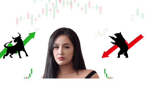 Hoa hậu Mai Phương Thúy từng xuất hiện tại những doanh nghiệp nào?
