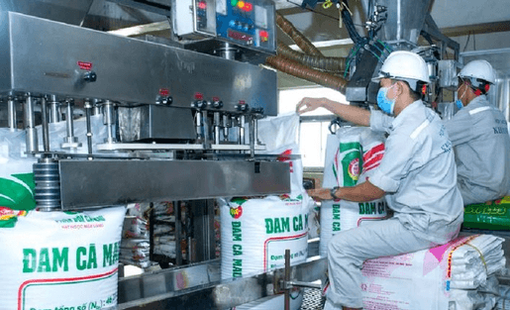 Loạt lãnh đạo Đạm Cà Mau (DCM) nhận thù lao “khủng”, có người bình quân vượt 1 tỷ đồng mỗi tháng