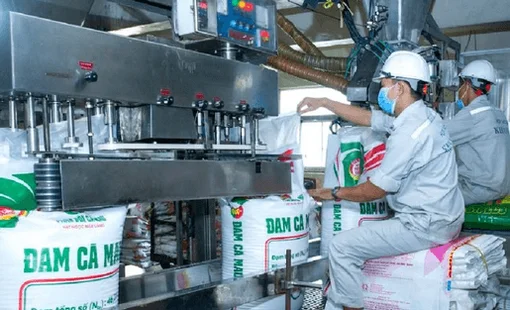 Loạt lãnh đạo Đạm Cà Mau (DCM) nhận thù lao “khủng”, có người bình quân vượt 1 tỷ đồng mỗi tháng
