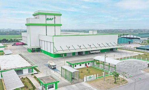 BAF và áp lực huy động vốn trong bối cảnh lợi nhuận đi lùi