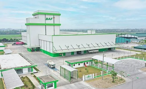 BAF và áp lực huy động vốn trong bối cảnh lợi nhuận đi lùi