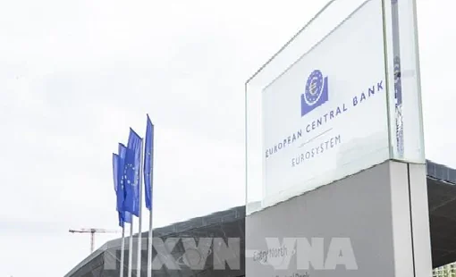 Giá dầu cao sẽ thúc đẩy ECB tăng lãi suất