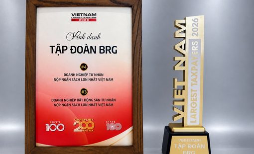 Tập đoàn BRG lọt Top 4 doanh nghiệp tư nhân nộp ngân sách lớn nhất Việt Nam