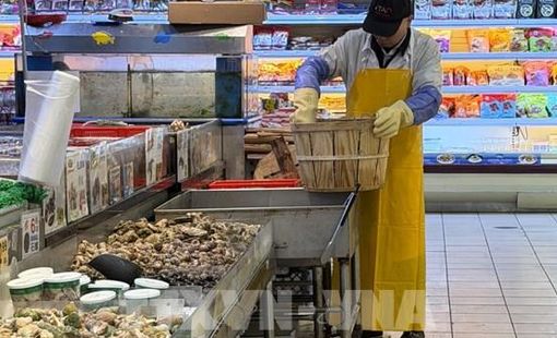 Quan chức Fed: Lạm phát vẫn ở quá cao trên mọi lĩnh vực kinh tế
