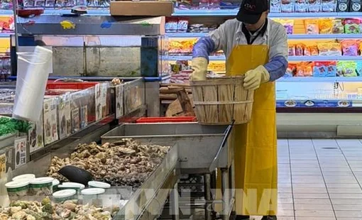 Quan chức Fed: Lạm phát vẫn ở quá cao trên mọi lĩnh vực kinh tế