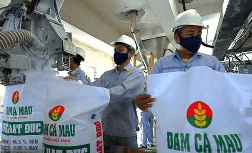 Phó Tổng Giám đốc Đạm Cà Mau (DCM) thôi chức trước thềm ĐHĐCĐ bất thường
