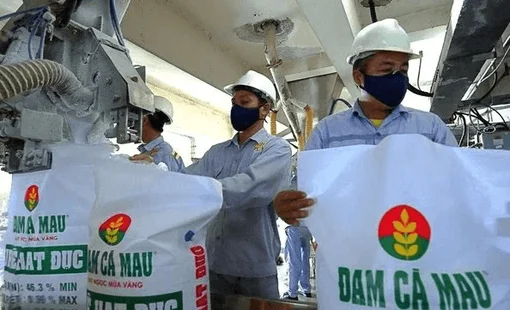 Phó Tổng Giám đốc Đạm Cà Mau (DCM) thôi chức trước thềm ĐHĐCĐ bất thường