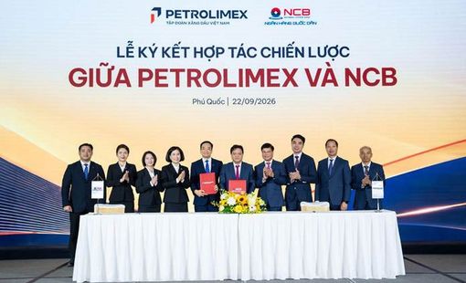NCB và Petrolimex hợp tác chiến lược, kết nối hiệu quả hê sinh thái năng lượng và tài chính