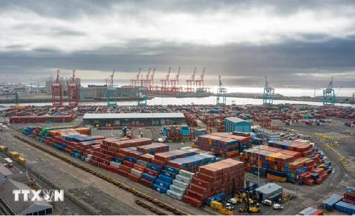 OECD điều chỉnh nâng dự báo tăng trưởng toàn cầu năm 2026
