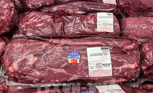 Mỹ tung loạt biện pháp vực dậy ngành thịt bò giữa lúc giá tăng kỷ lục